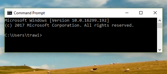 "ver" reports Microsoft Windows [Version 10.0.16299.192]